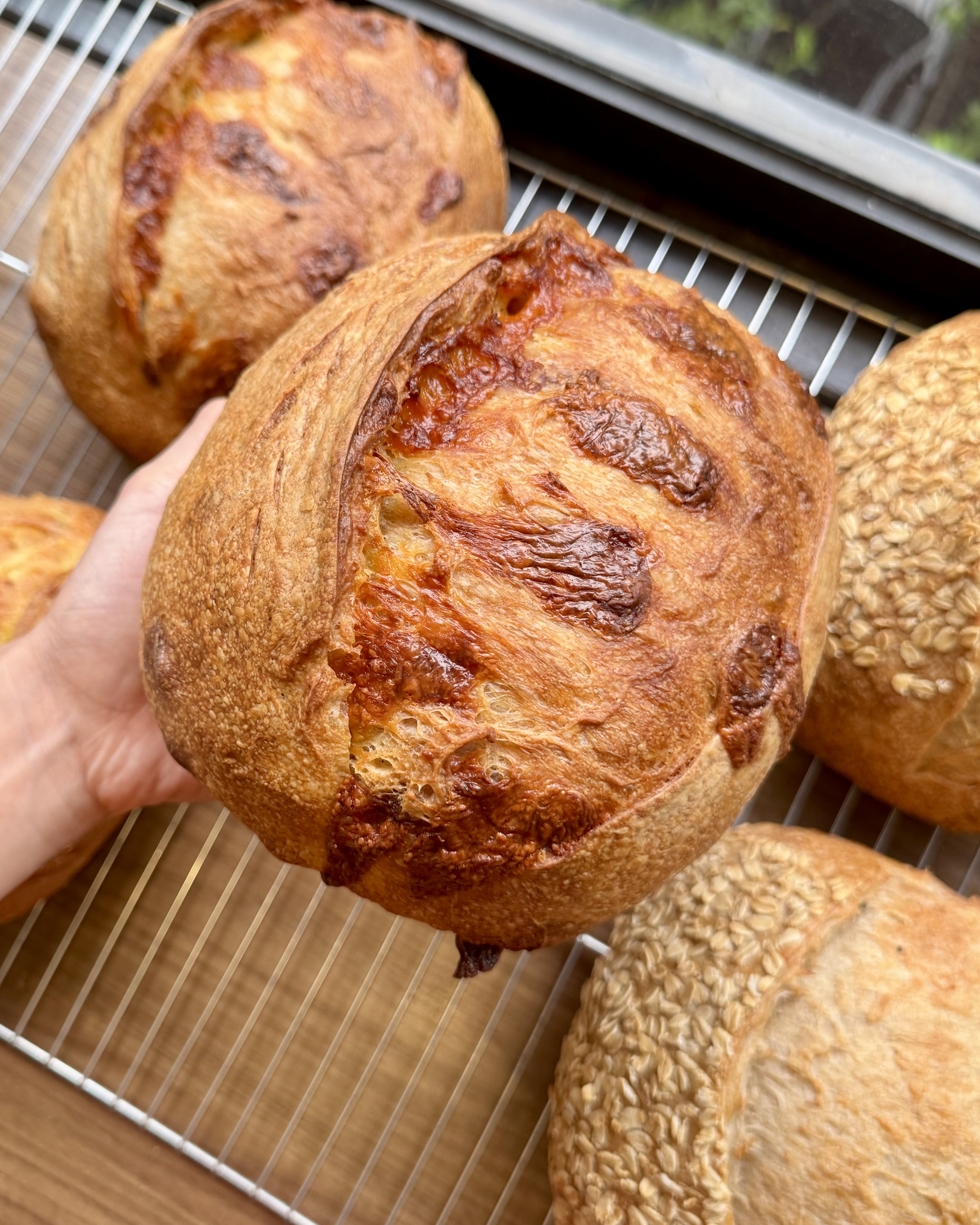 Cheddar & Mozarella Sourdough