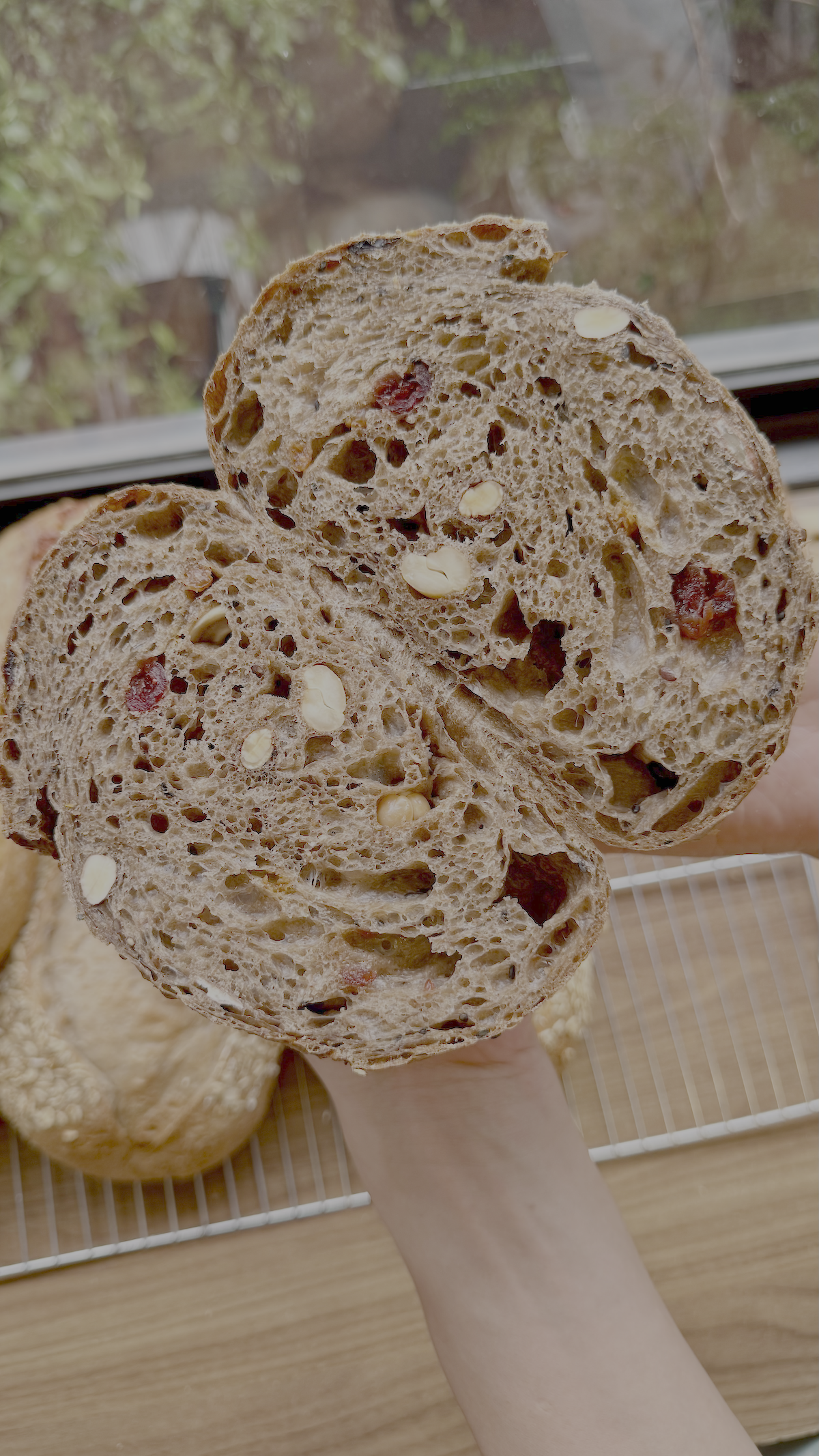 Mix Hạt và Quả Mọng - Dark Rye Multiseed & Cranberry