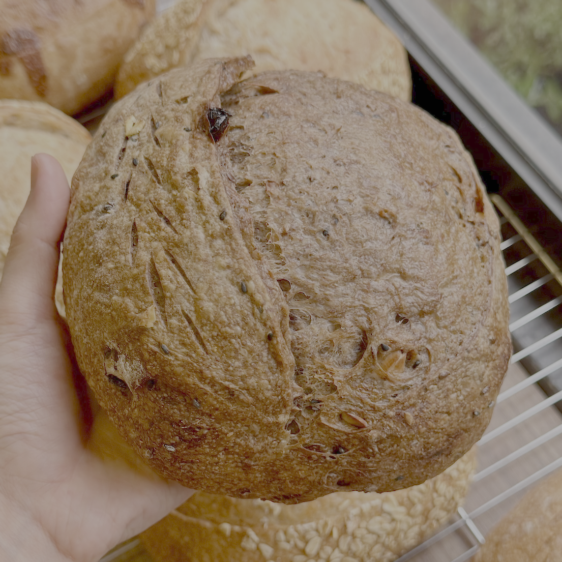 Sourdough Lúa Mạch Đen 