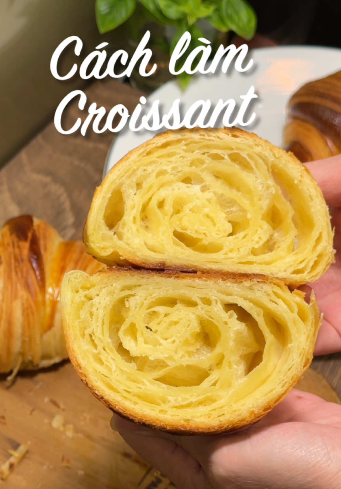 Cách làm bánh Croissant/ bánh mì sừng bò tự cán tay tại nhà: 🍀 Công thức (đã thay đổi thêm nước và...
